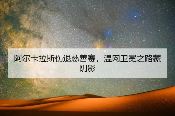 a-er-ka-la-si-shang-tui-ci-shan-sai-wen-wang-wei-mian-zhi-lu-meng-yin-ying-2-821.jpg
